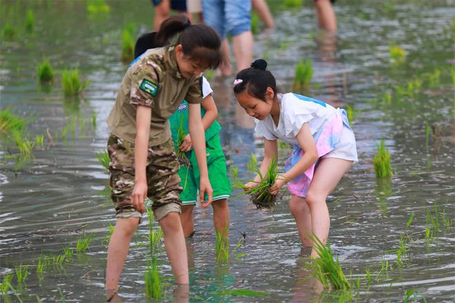 四季农耕研学丨一起“趣”插秧活动圆满结束！(图7)