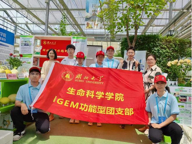 青年大学生科技创新展台首现2024武汉种业博览会(图2) 青年大学生科技创新展台首现2024武汉种业博览会(图2)