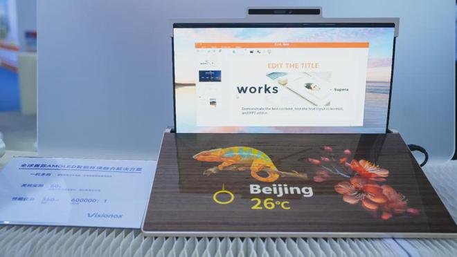 DIC 2024展品汇总:京东方、惠科、维信诺、天马、和辉、JDI(图24) DIC 2024展品汇总:京东方、惠科、维信诺、天马、和辉、JDI(图24)