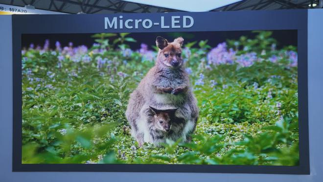 DIC 2024展品汇总:京东方、惠科、维信诺、天马、和辉、JDI(图21) DIC 2024展品汇总:京东方、惠科、维信诺、天马、和辉、JDI(图21)
