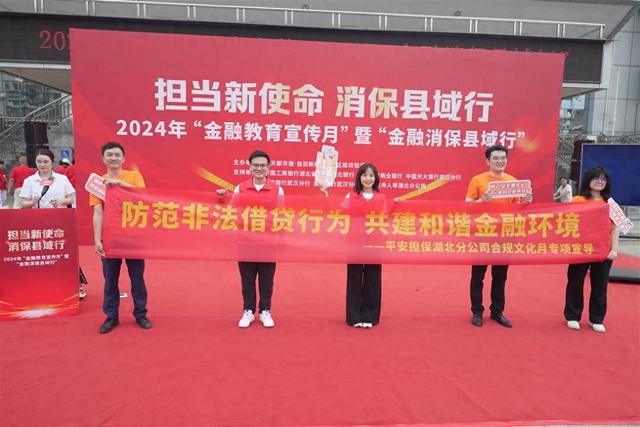 平安担保湖北分公司开展“金融消保县域行”活动推动金融知识直达基层群众