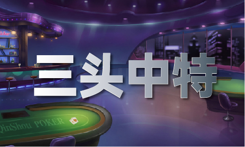 香港正版内部资料大公开2024版V