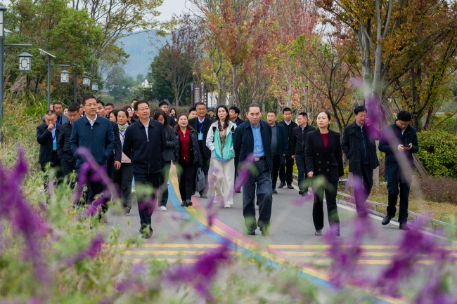 同题报道]湖北黄冈：研发代表委员联络工作数字应用平台“检联e站”
